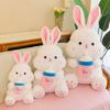 Adorable White Bunny Plush Toy With Milk Bottle Design Soft And Cuddly For Girls