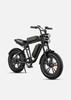 ENGWE M20 2025 New Electric Bike, 48V 26Ah Dual Battery, 20×4.0 Inch Tire, 75km Range, Designed for Adventure, Adult-professional-off-road.
