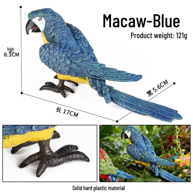 Realistic Wildlife Model: Parrot, Macaw, Peacock Heart Cognitive Toy for Children