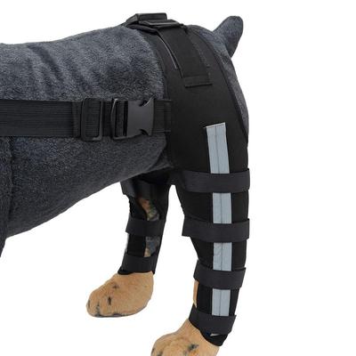 Hundens Bakbensstöd Hundens Höftledsvård Stödskydd Kort Bakbenshasledsstöd För Avslitet Korsband Hund Knäledsstöd Omlott för