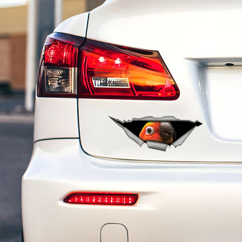 Güneş Konuru Papağanı Araba Çıkartmaları, Su Geçirmez Vinil Çıkartmalar, Araba Camları, Araba Tamponu, Araba Gövdesi için Dekoratif Aksesuarlar
