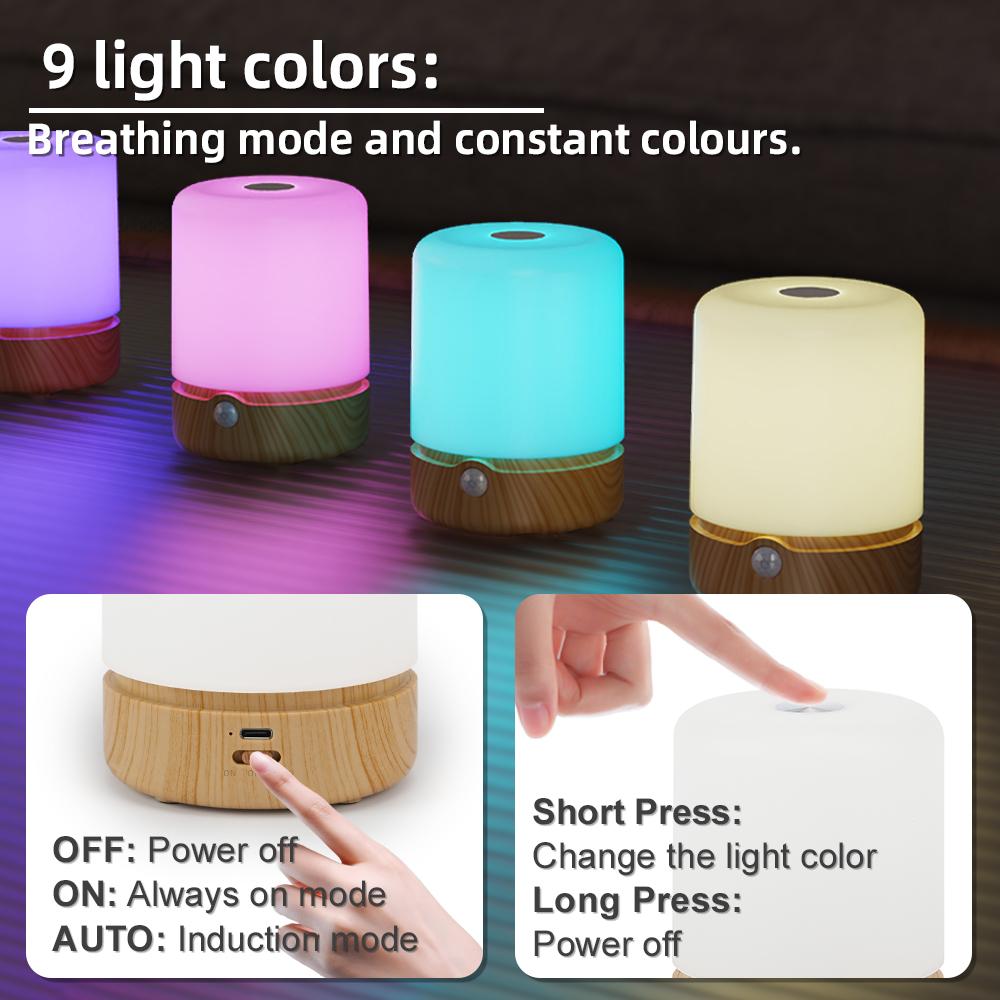 LED Night Light Touch Lamp Table Lights Bedside Lamp Bedroom Lamp with Touch Sensor Portable Desk Lamp Light for Kids Gifts