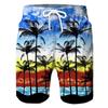 Men's Coconut Tree Graphic Prints Swim Trunks Swim Shorts Board