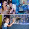 2pcs Betta Tunnel with Suction Cups Suitable for Small Fish and Shrimps