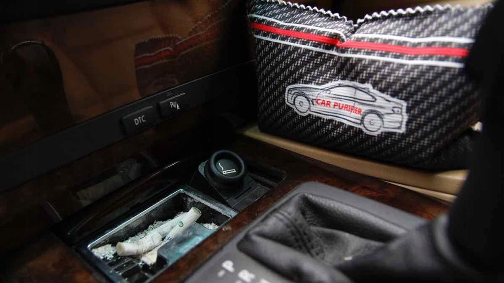 MULTIPLE USE CAR AND HOME ODOR ABSORBER