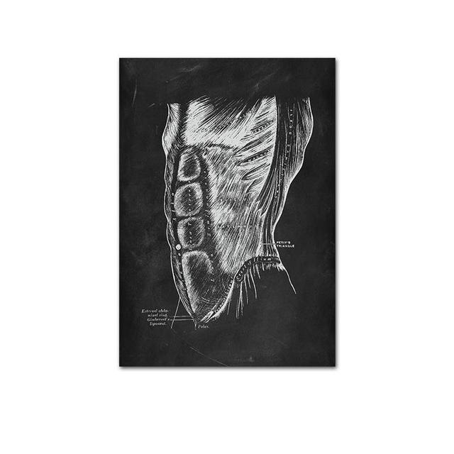 Human Musculoskeletal Heart Anatomy Skeleton Poster Canvas Painting and Printmaking Home Room Painting Decorative Art No Frame