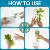 1pc Refrigerator Herb Crisper Saver Pod Container Vegetable Preserving Bottle Keep Herb/Cilantro/Mint/Parsley/Asparagus Fresh Gr