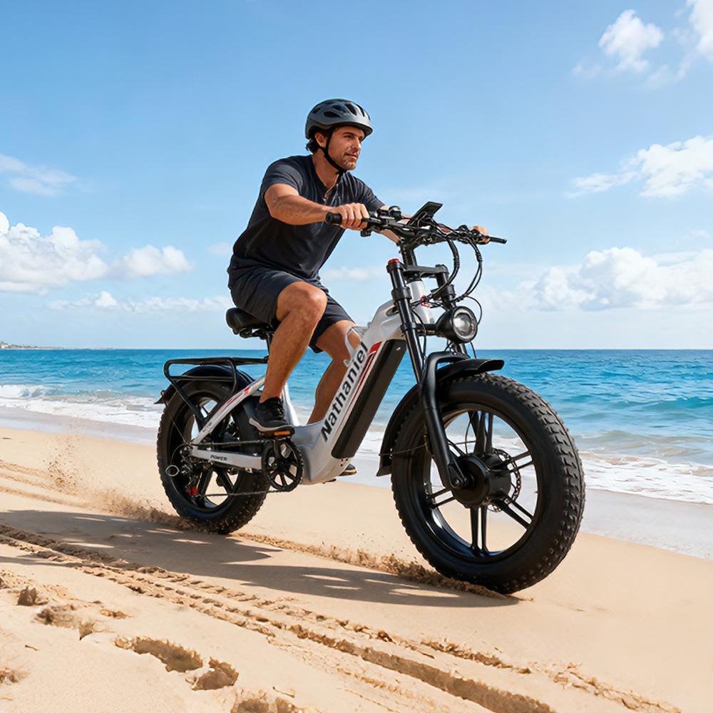 Nathaniel SYR08 City Commuting E-Bike, Doppelmotor 2000W, 20x4.0 Integriertes Rad, 48V20AH, Geschwindigkeit 50+, Schnee/Sand Outdoor-Fahrrad