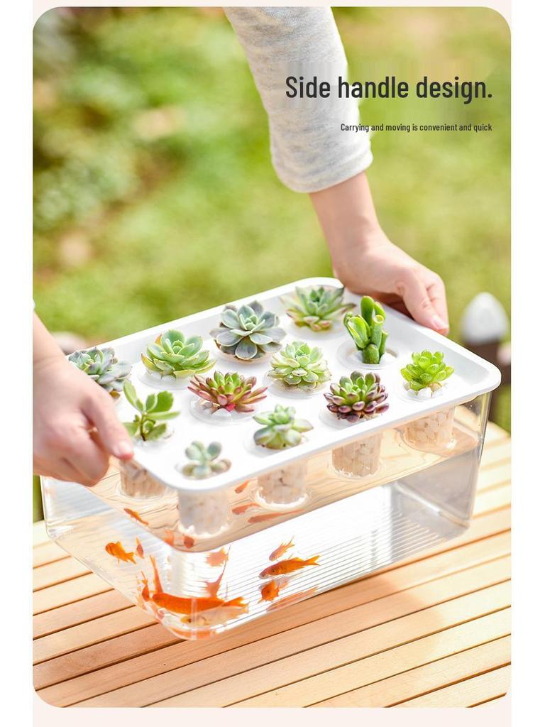 Eco-Friendly Betta Fish Tank: Stylish Desktop Micro Landscape for Living Room & Office with Goldfish & Plant Symbiotic Aquarium