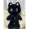 Used Riize Won Bin Master Plush Toy 40cm