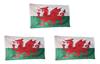 Premium Quality 5 Feet X 3 Feet Wales Welsh Flag With Eyelets For Camping And Boating
