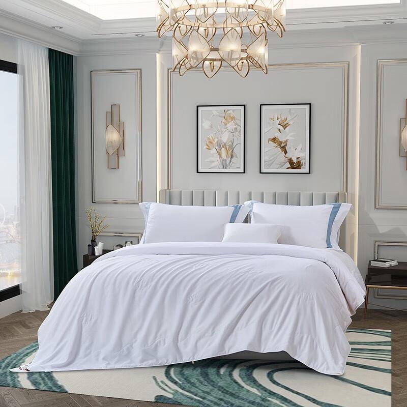 

FUANNA Qingyan Mulberry Silk Summer Quilt