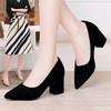 Damen grobe Pumps Schuhe Französisch schwarz Arbeitsplatzschuh Spitz zulaufend sexy High Heels Mode vielseitig Damenschuhe Mujer Schuhe