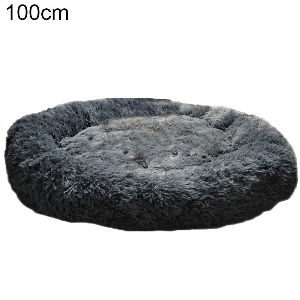 dog and cat beds