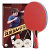 DOUBLE FISH 8-Star Professional Carbon Table Tennis Racket