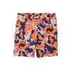 Queer Poets Tyris Casual Shorts Men's Multicolor Moderate VN0008FTBE5