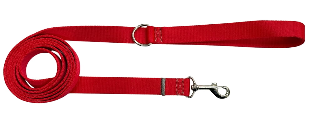 Dog Leash Traditional 2 Cm Red Fasten Dog Leash Traditional 2 Cm Red Fasten XXL - 3 M