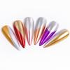 20G Chrome Nail Powder 2 Metallic Holographic Pigment Colors Mirror Effect Powder DIY Gel Nail Art