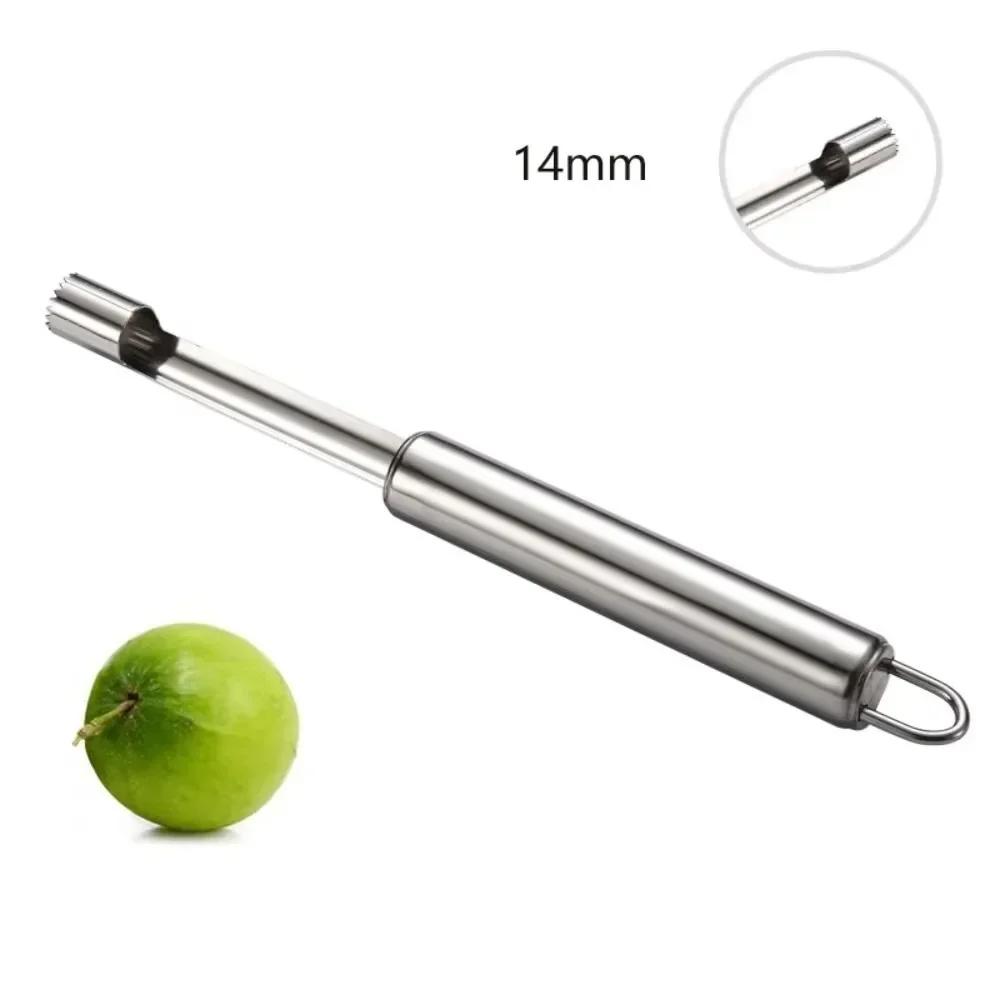 Stainless Steel Fruit Seed Remover Tool Portable Multi-function Remover Seed Slicer Removable Core