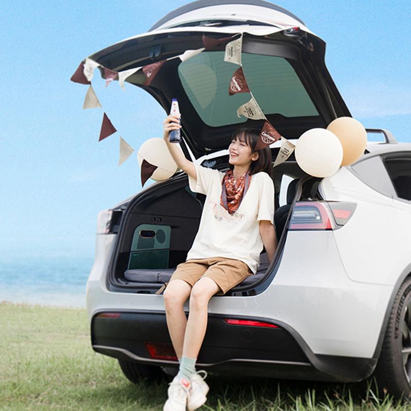 For Tesla Model Y 2019-2025 15L Car Refrigerator Fridge Freezer Compressor Cooling LHD RHD Trunk Fridge Medicine Storage Travel