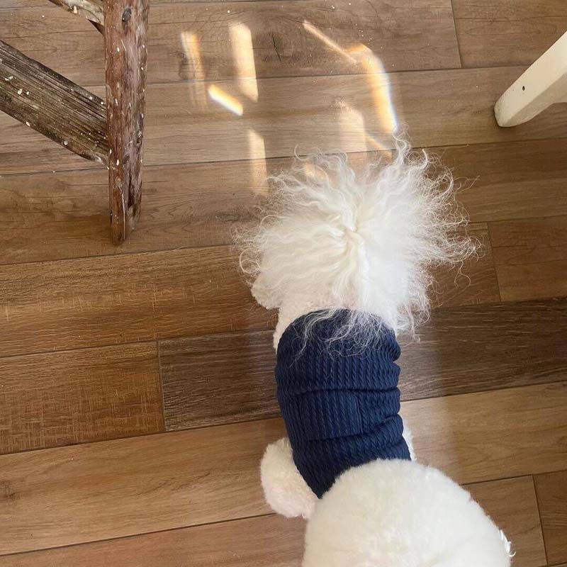 Summer Dog Vest Thin Breathable Pet T-Shirt for Small Medium Dogs Cats Soft Puppy Clothes Chihuahua French Bulldog Cotumes