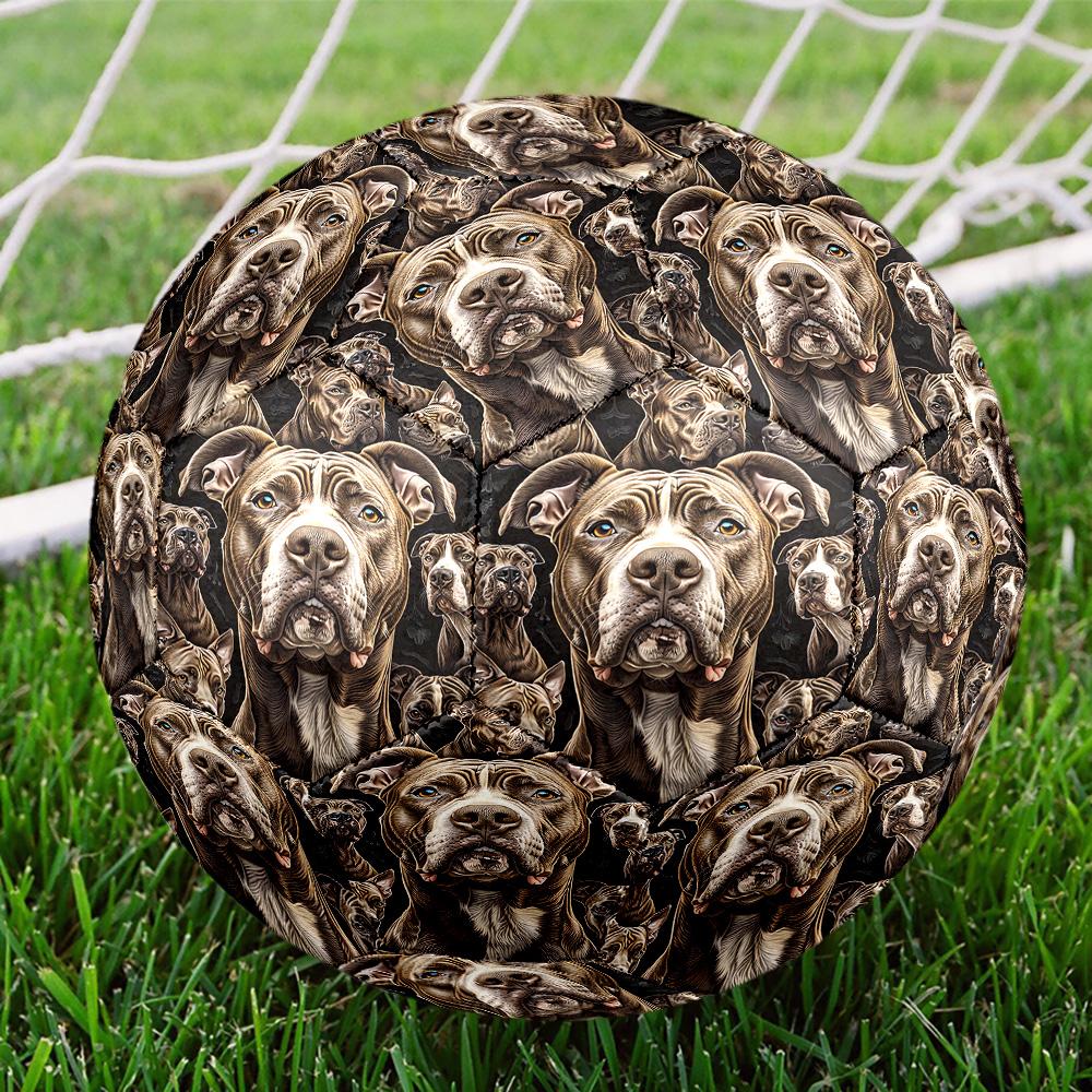 Afghan Hound Indoor Soccer Ball Size 5 Colorful All Ages Machine Stitched PVC Competition Ready Durable High-Bounce