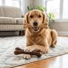 Bone Shaped Bone Chew Toy Wear Tough Durable Bite Toy Pet Teeth Grinding Toy  Bad Chewing Habit Fix