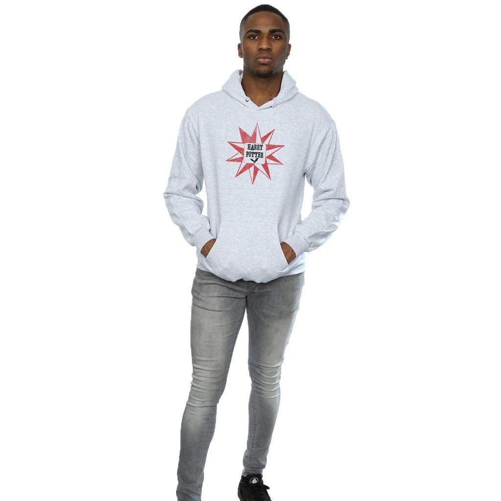HARRY POTTER Herren Hedwig Stern Hoodie