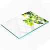 Kitchen Multifunctional Decorative Board Tempered Glass Leaves 80x52 Cm