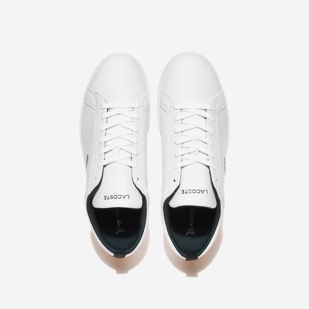 Lacoste Point Coat 7 48sma0112 Wht Dk Grn Buy cheaply on Joom