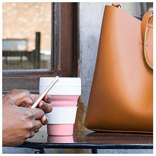 Stojo BIGGIE 16oz/470ml (CARNATION)