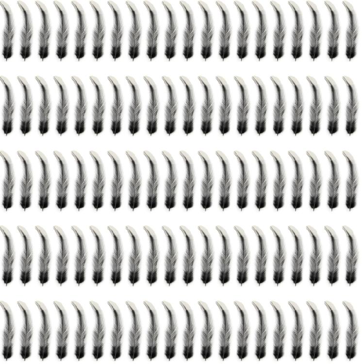 Opakowanie 100 Czarnych Piór Dekoracyjne Naturalne Pióra Rękodzieło Do Łapaczy Snów Kostium Kapelusz Kolczyki Biżuteria Dekoracja