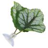 Betta Leaf Hammock Green Aquarium Ornamental Betta Resting Spawning Bed Fish Tank Supplies