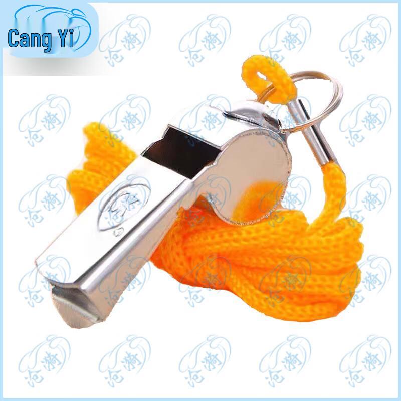 Metal Whistle Set with Lanyard