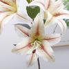 5 Head Artificial Flower Branch Plastic Elegant Simulation Lilium Brownii Flower Handmade Real Touch Fake Flowers Wedding Decor