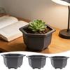Rectangular Square Bonsai Flowerpot Plastic Bonsai Training Pots Succulent Plant Growing Pots Container Garden Home Decor