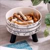Stainless Steel Elevated Pet Bowls - Cat Dog Food Water Dishes, Raised Feeding Bowls for Pets