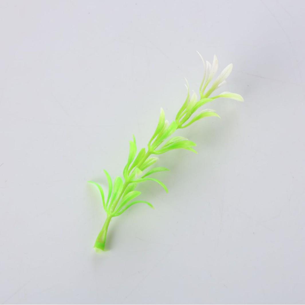 Glow-in-the-Dark Star Bottle - Lucky Starry Sky Message Bottle Gift Decoration