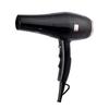 LISM Professional Negative Ion Hair Dryer