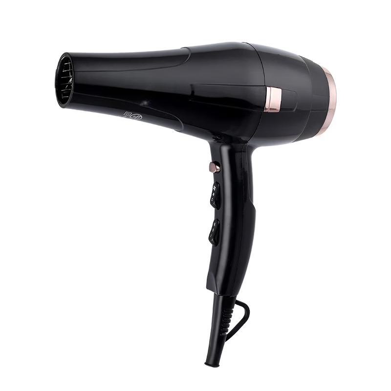 LISM Professional Negative Ion Hair Dryer