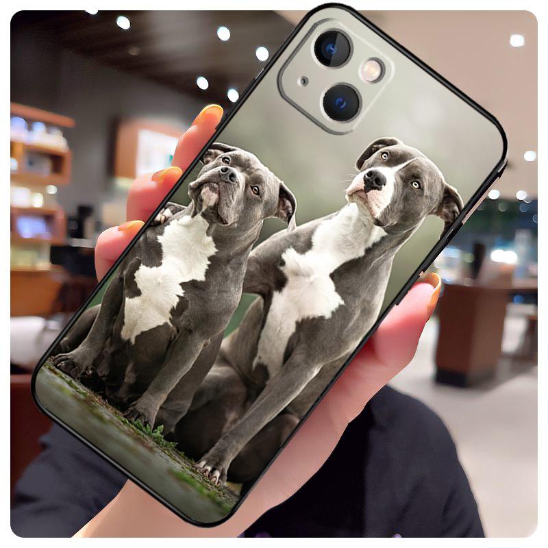 Pit Bull Chien Mignon Pitbull Étui Pour iPhone 14 Pro Max 16 15 11 12 13 17 Pro Max mini 15 16 Plus 16e 17 Air Housse de Téléphone