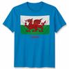 Wales Cymru Welsh Flag Unisex Tshirt Patriotic Welsh Pride Apparel