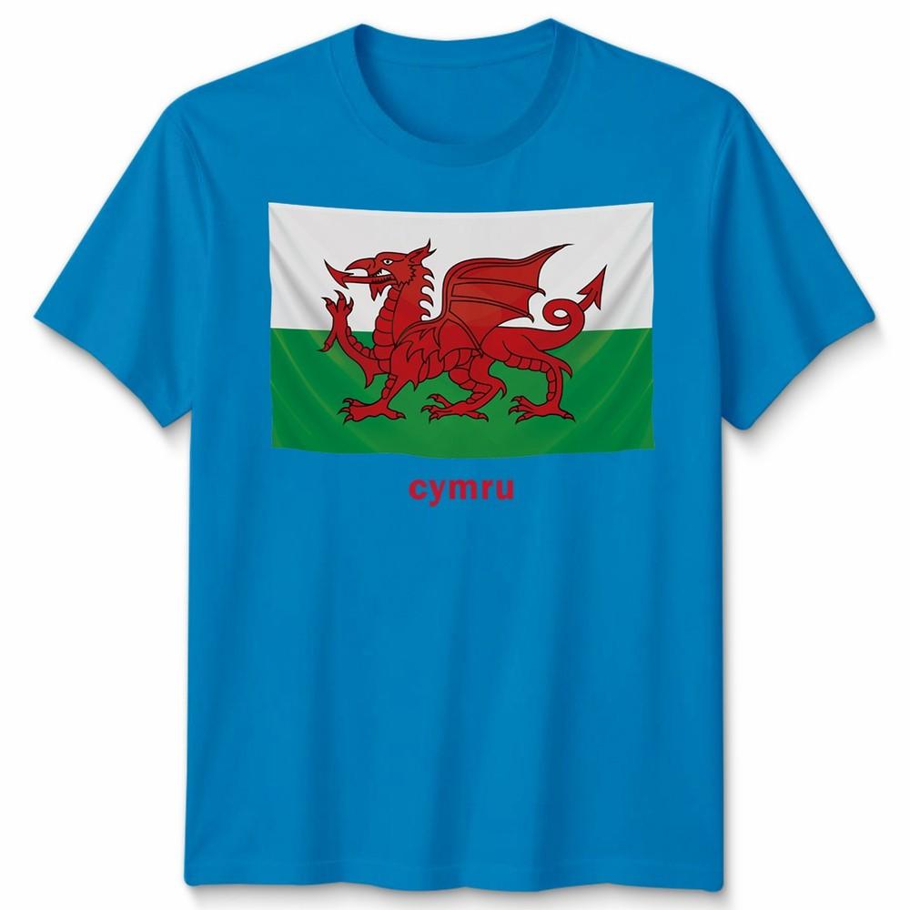 Wales Cymru Welsh Flag Unisex Tshirt Patriotic Welsh Pride Apparel
