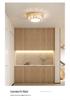 Modern LED Crystal Ceiling Light for Hallway or Corridor