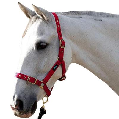 Hy Holly Fully Adjustable Head Collar