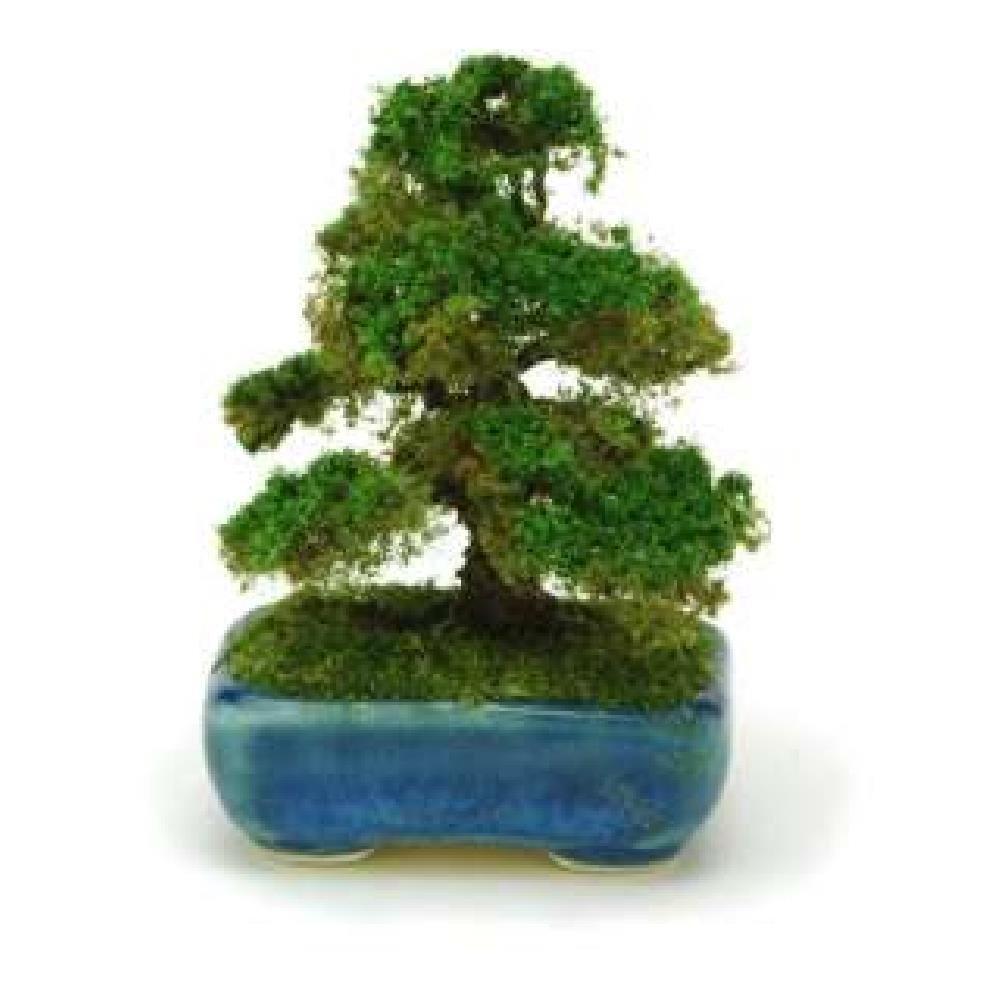 

PLATZ THE BONSAI Квадратная чаша из кедра Готовый продукт BONT04 1/12 [Темно-синий]