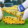 Calçado especial para desporto – Chuteiras de futebol