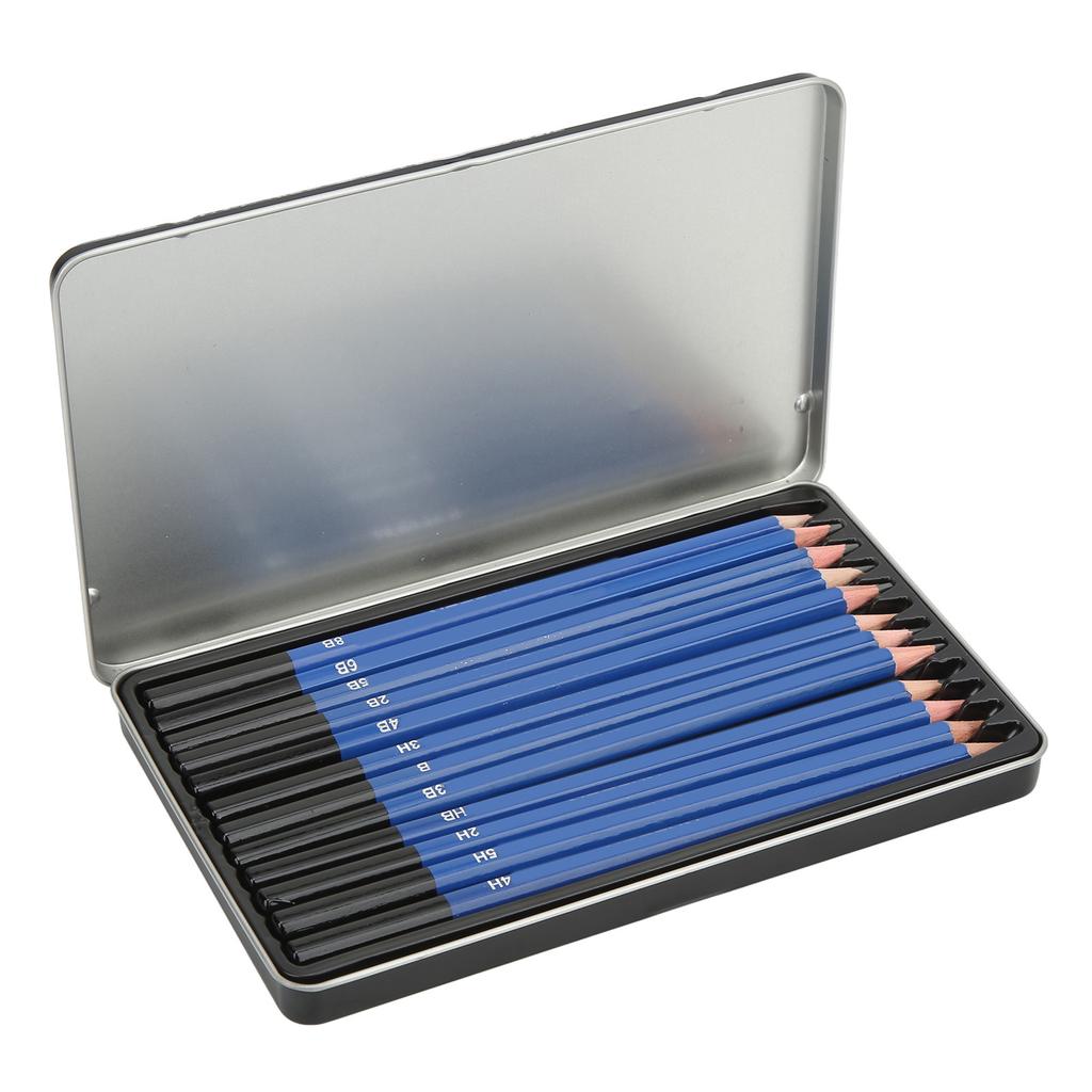 12 ks Skicovací tužky Lesklé Barvení Tužky pro Kreslení Životního Prostředí Sada s Železnou Krabičkou pro Začátečníky