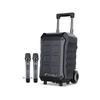 SANSUI D15 Outdoor Portable K-Song Speaker with Wireless Mic CN Plug (adapter Included)