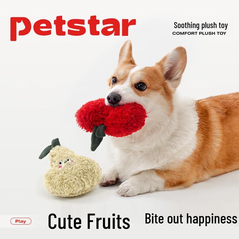 PETSTAR Interactive Squeaky Dog Toys